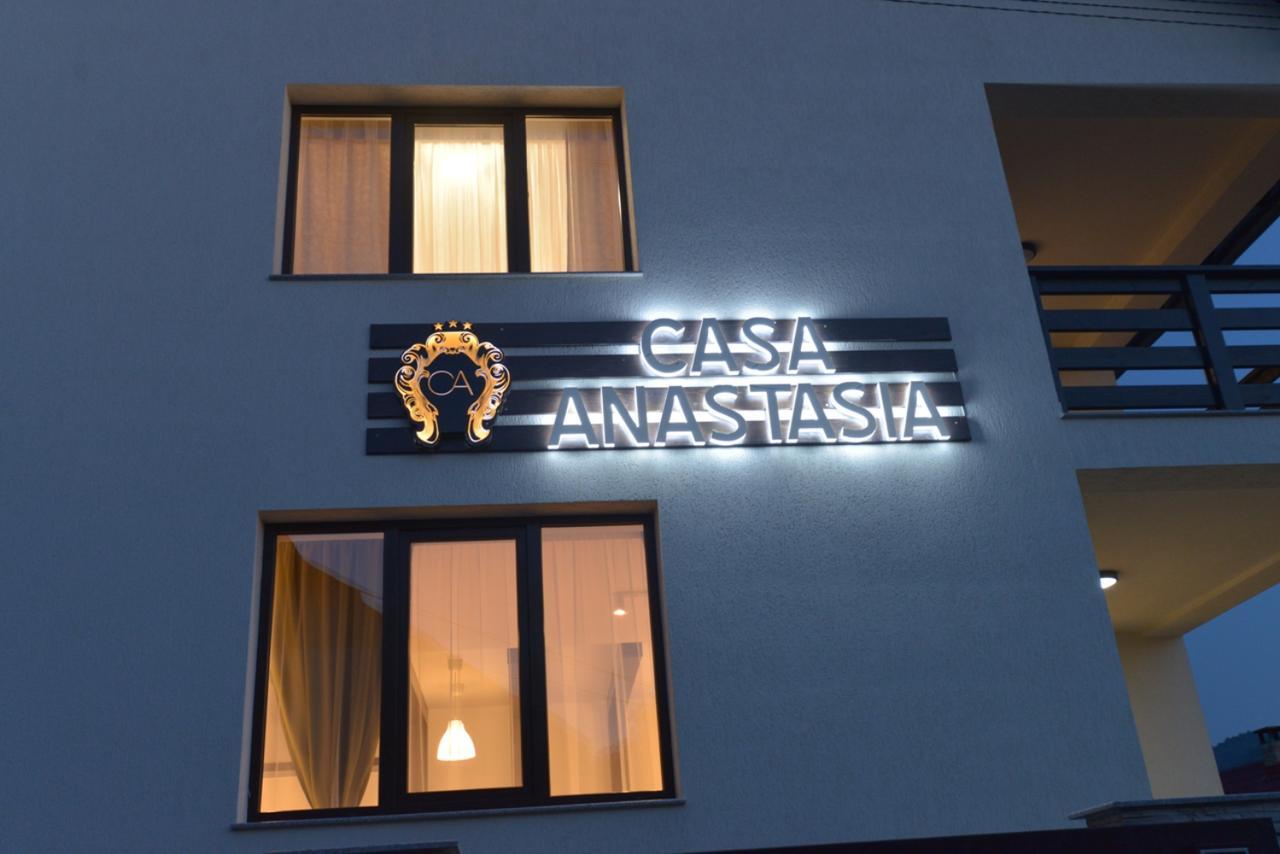 Casa Anastasia Hotel Vişeu de Sus Eksteriør billede