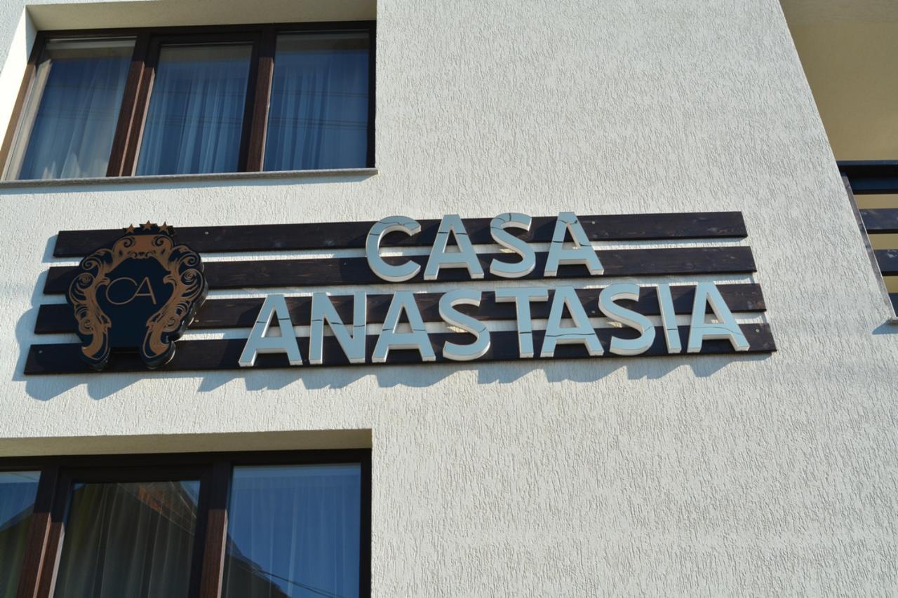 Casa Anastasia Hotel Vişeu de Sus Eksteriør billede